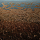 Image for article titled Photos: Aerial shots showcase Australia’s brutal drought